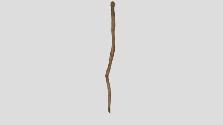 Walking Stick 3D Scan 3D Model