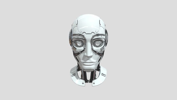 Future Robot