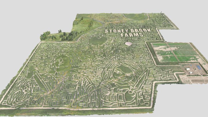 Stoney Brook Farms - World's Largest Corn Maze 3D Model