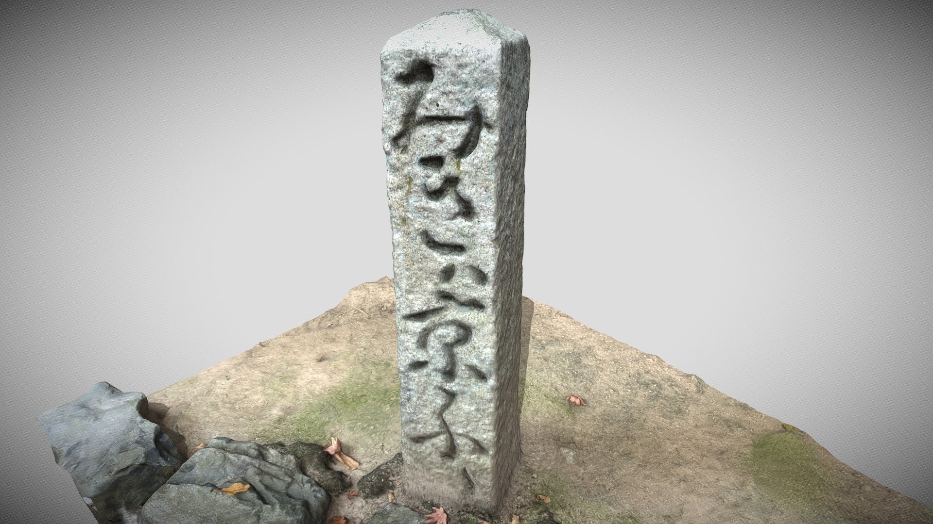 Stone at Ryoanji temple entrance Kyoto Japan