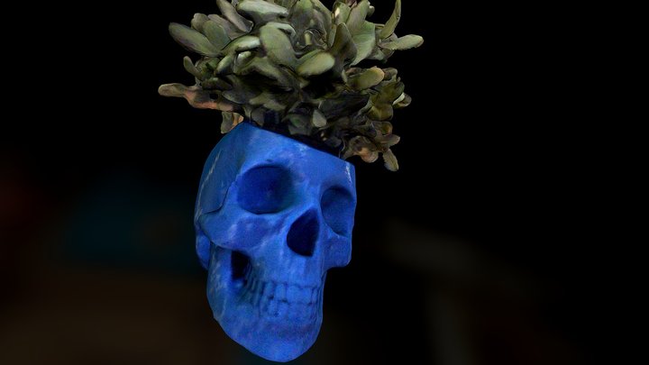 Skull Plant 3D Model