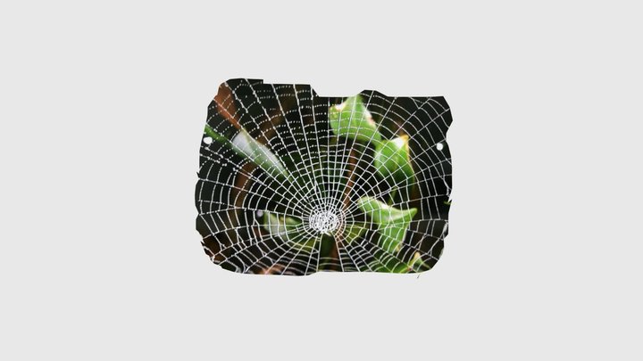 I 3D Model