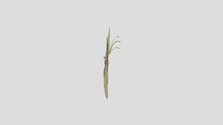 mariposa 3D Model