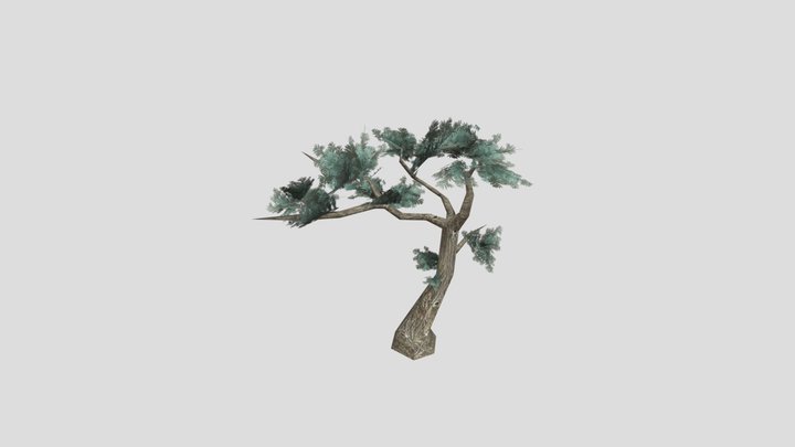 Bonsai 3D Model
