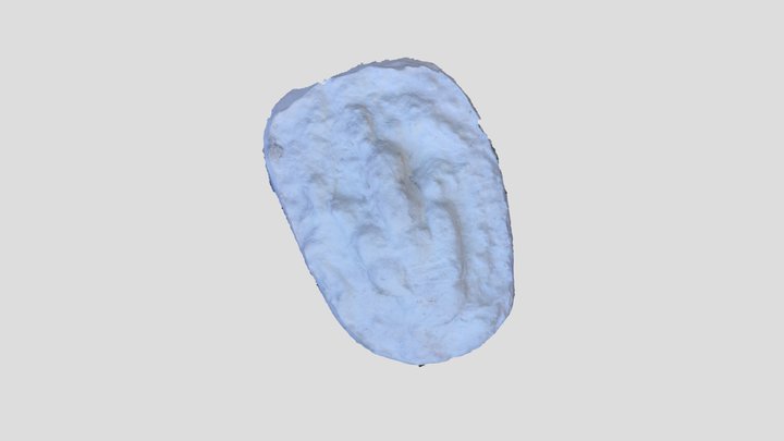 Muestra colección RICARDO – Modello 3D gratuito STL
