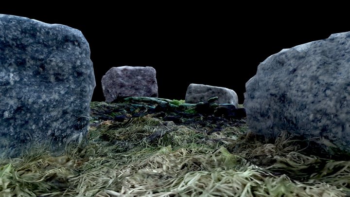 Aloe Vera 3D Model