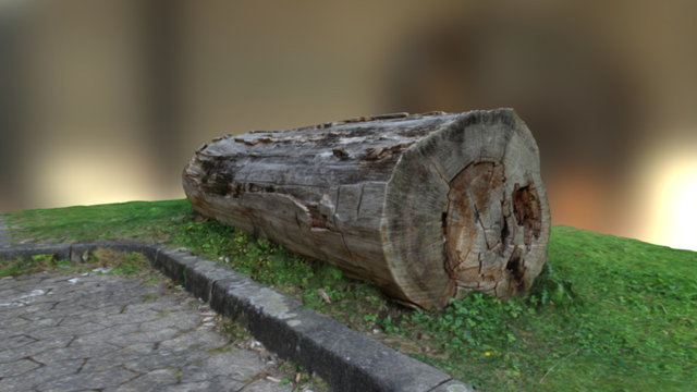 Tree Stump on meadow 01 3D Model