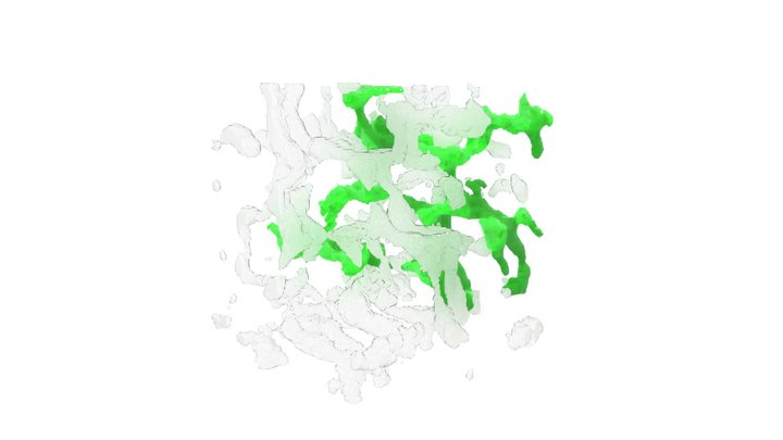 Humam Skeletal Muscle Mitochondria 3D Model