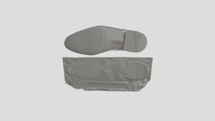 3D scanned Shoe trace and Shoe 3D Model