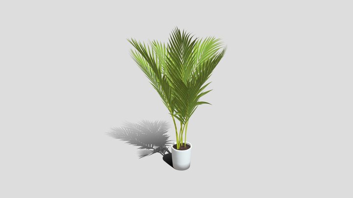 Majesty palm plant – Free 3D Model STL