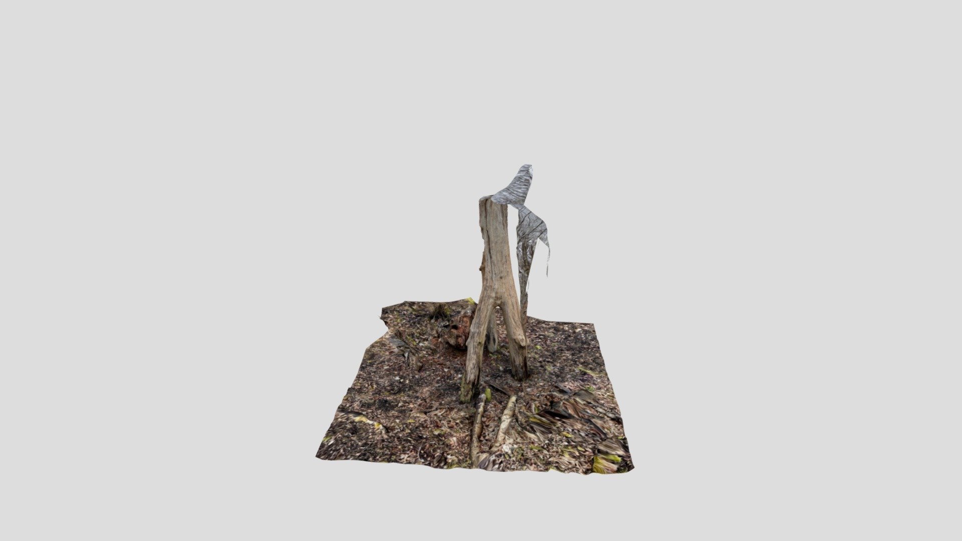 Polycam capture