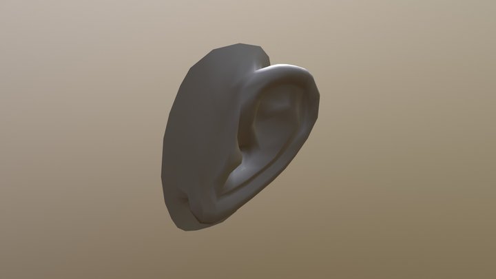 Human Ear [Yuu] 3D Model
