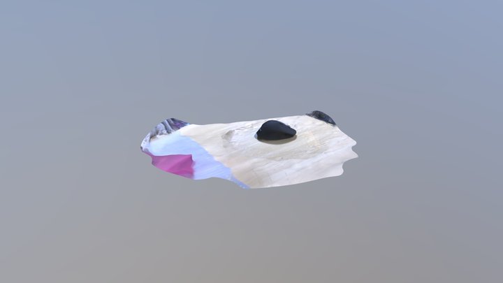 マウス 3D Model