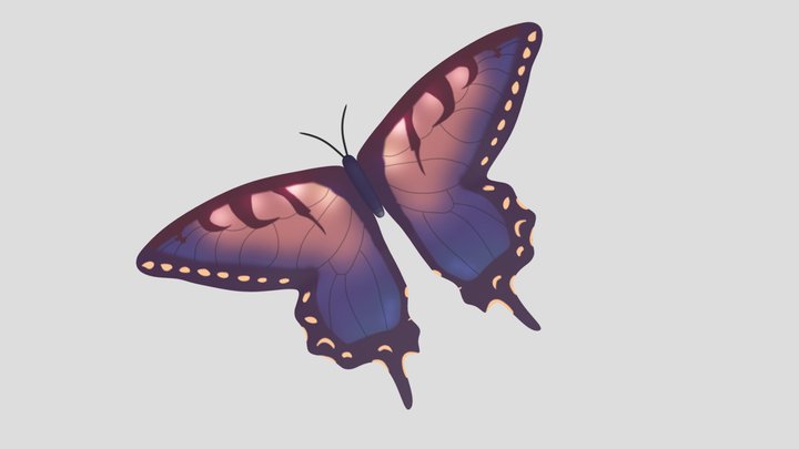 Butterfly 3D Model