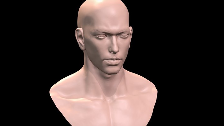 3D Printable  average Asian Male Head 3D Model