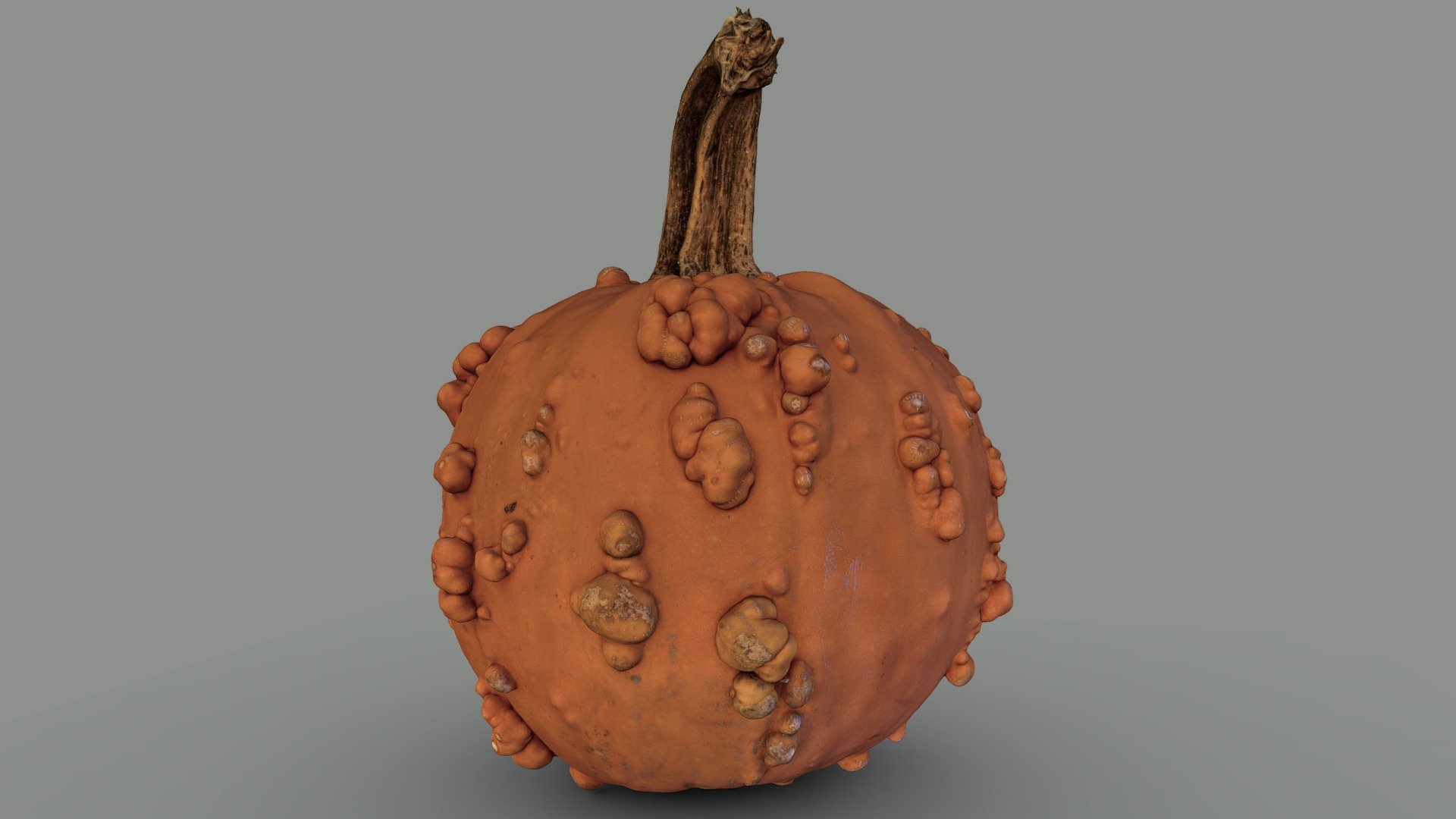 Pumpkin