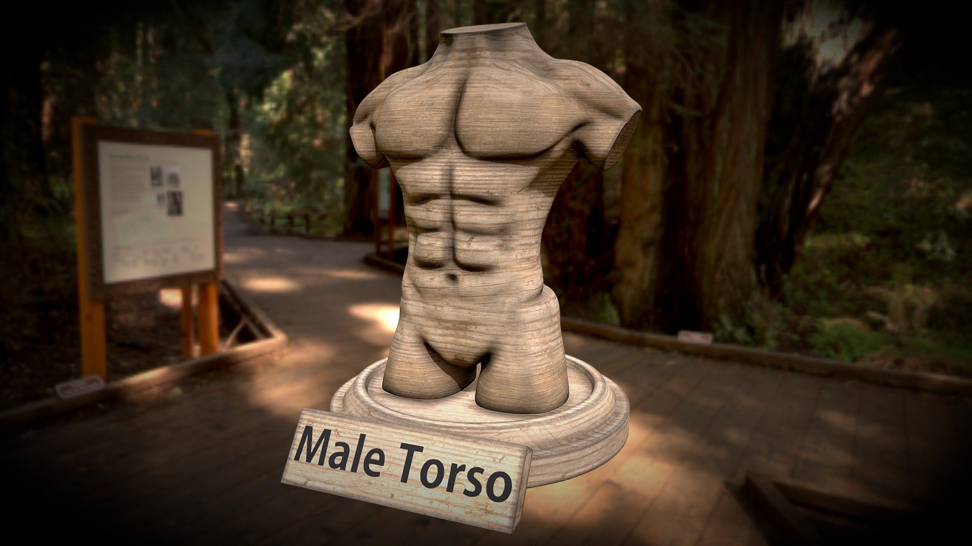 MALE TORSO - Sculpt January Day 22