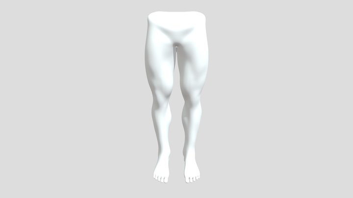 Legs_uploads_files_LP 3D Model