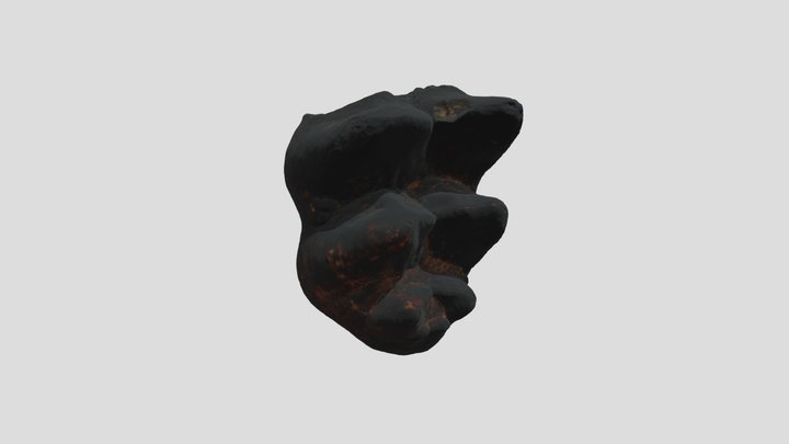 Mastodon Tooth Fossil 3D Model