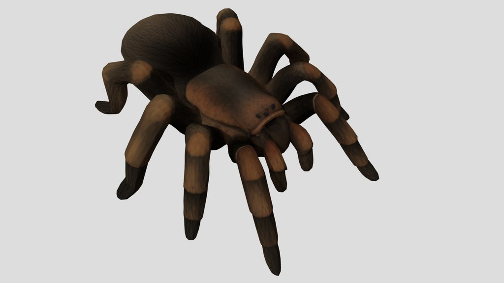 Tarantula