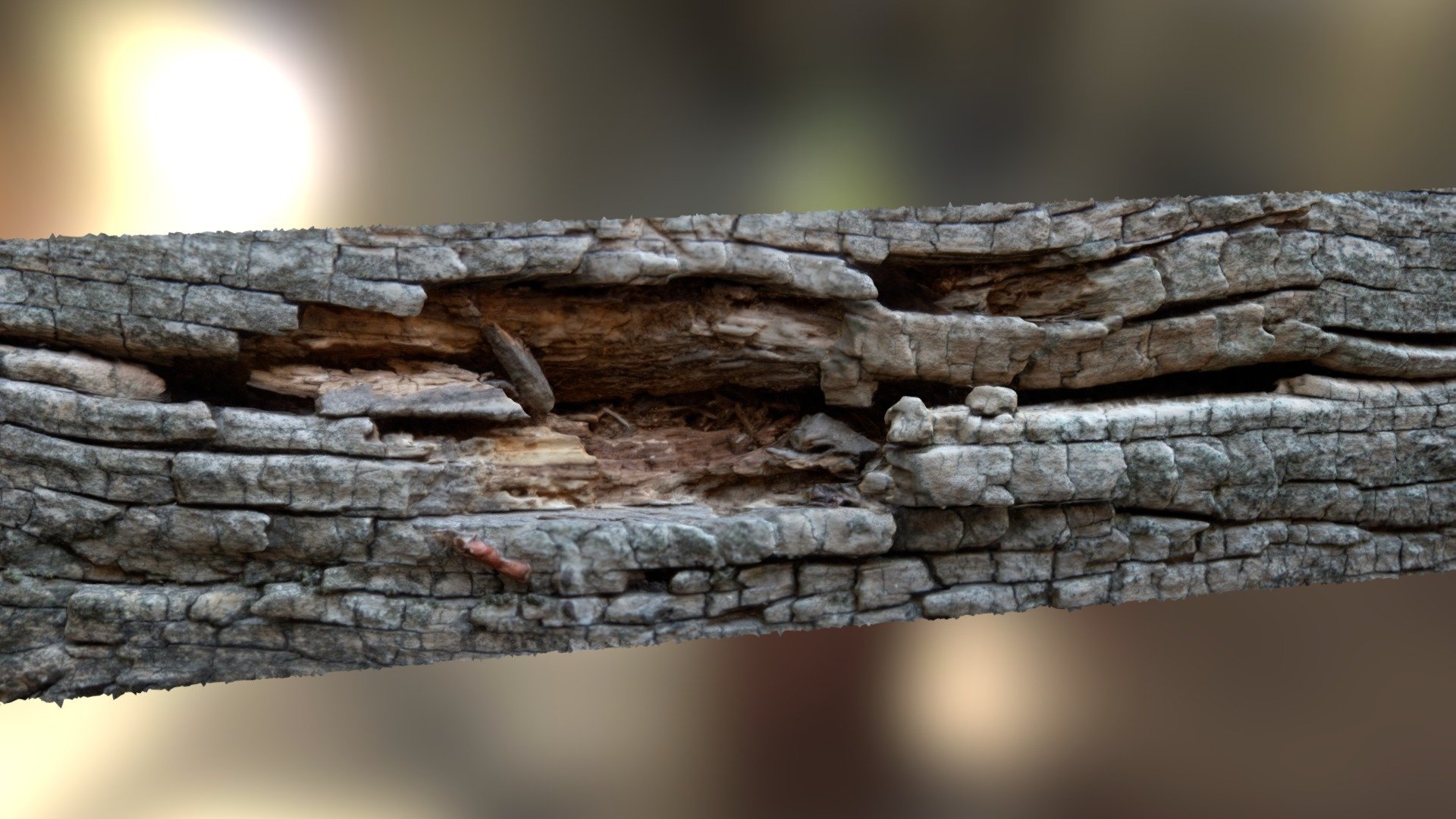 Wood