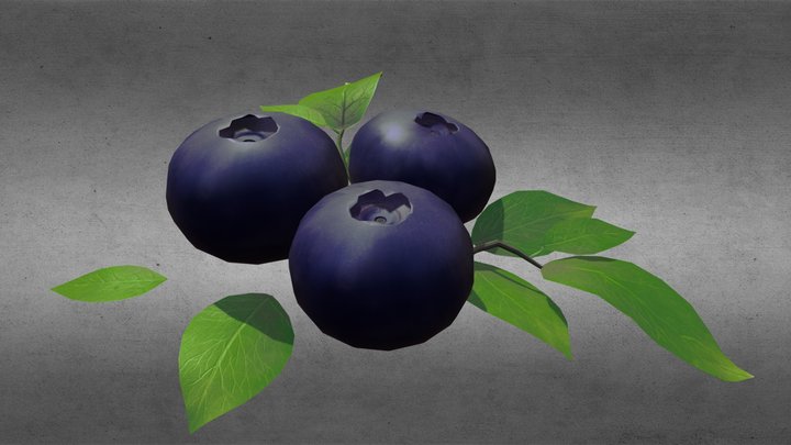 Blueberry / Bog Bilberries 3D Model
