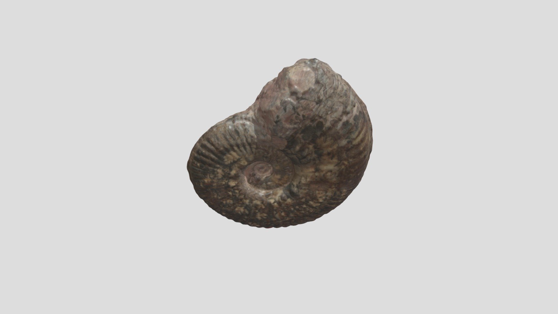 Sample 17 - 3D model by Natural History Collections University of ...