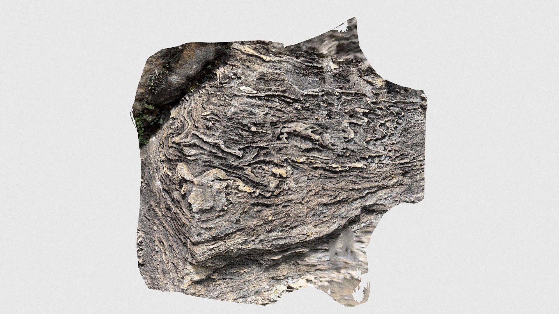 Lebedun Nappe - Calcshists