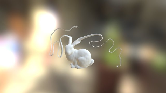 長耳兔 3D Model
