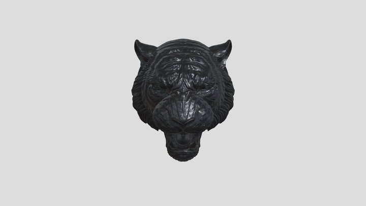 Tigre_70cm_cliente