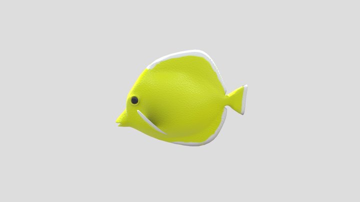 Yellow Tang Hybrid 3D Model