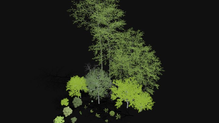 Trees vegetation pack – Modelo 3D gratuito STL