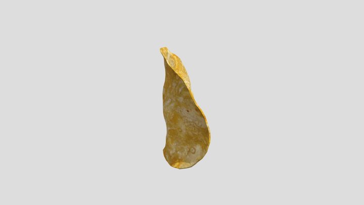 Potato chip 3D Model