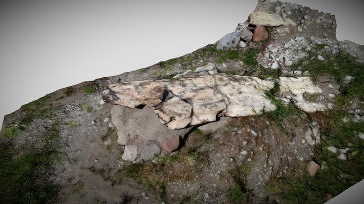 Petrified tree trunk 22 3D Model