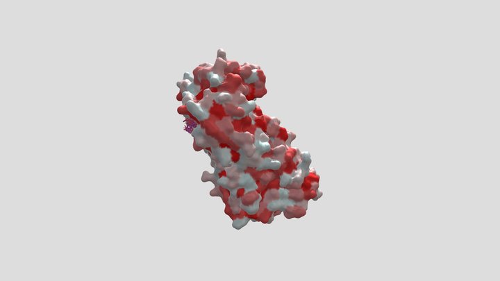 Triosafosfato isomerasa de humano desamidada 3D Model