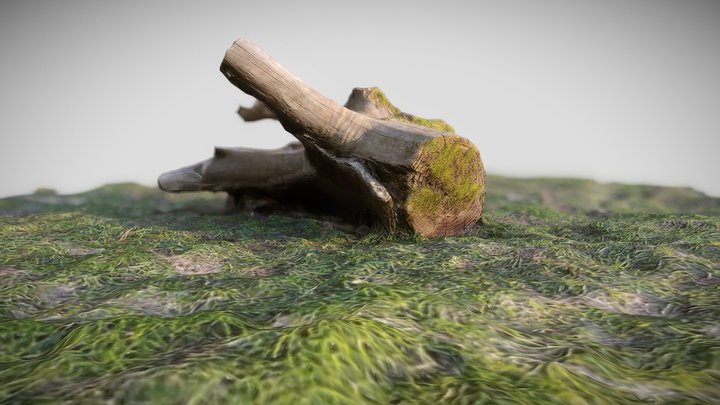 Nature Log - 3D Model 3D Model