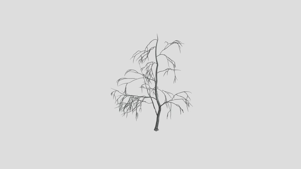 Small Tree Twig