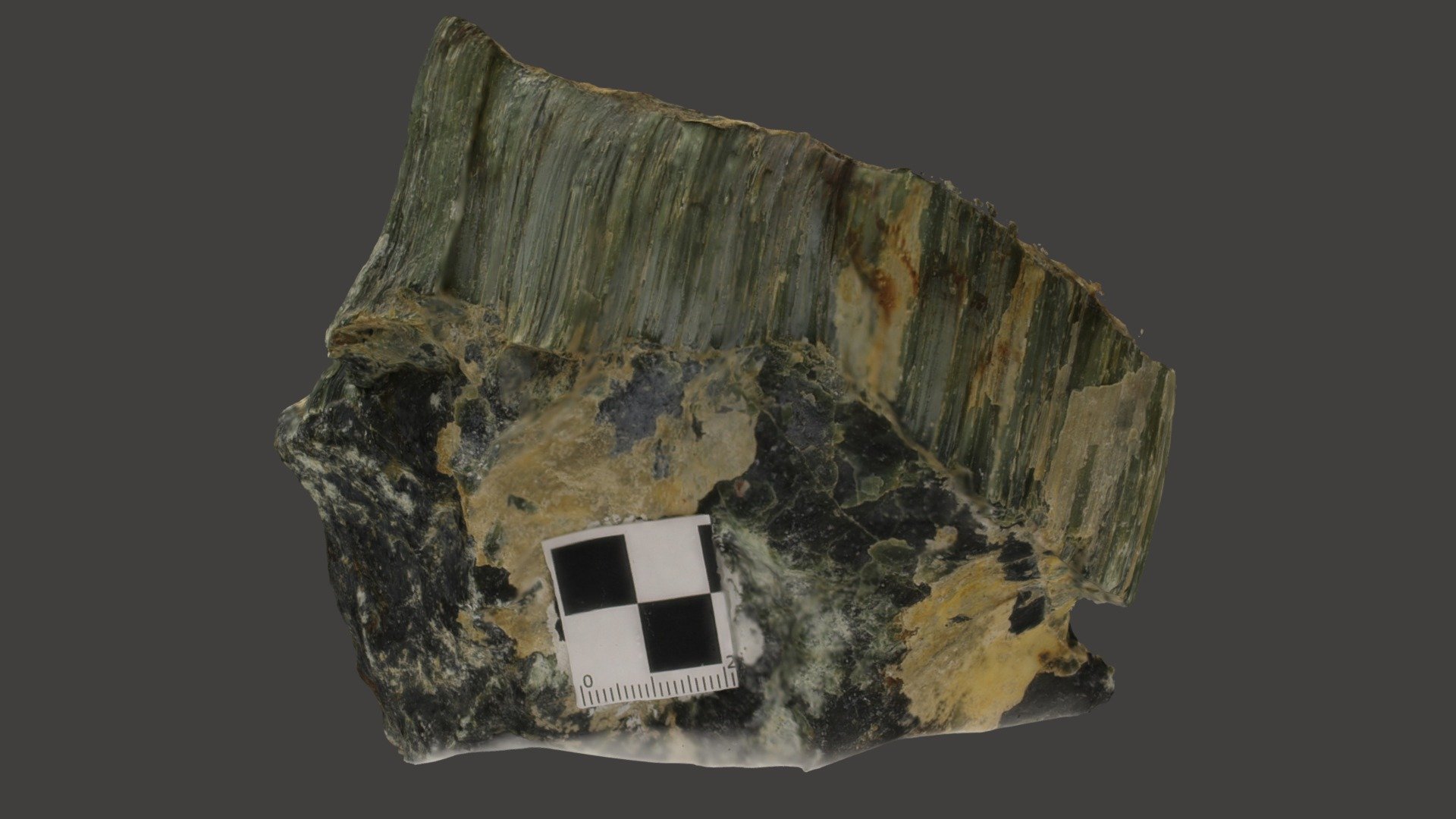 Speciman 05 - 3D model by R.E.V.E.A.L. the Geosciences (@revealuvu ...