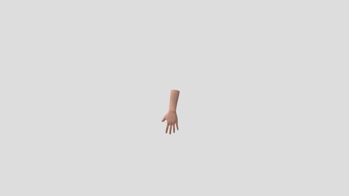 Hand 3D Model