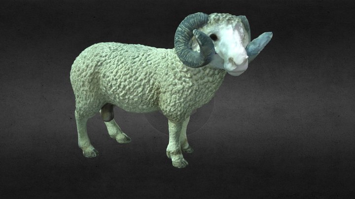 Widder OSC 3D Model