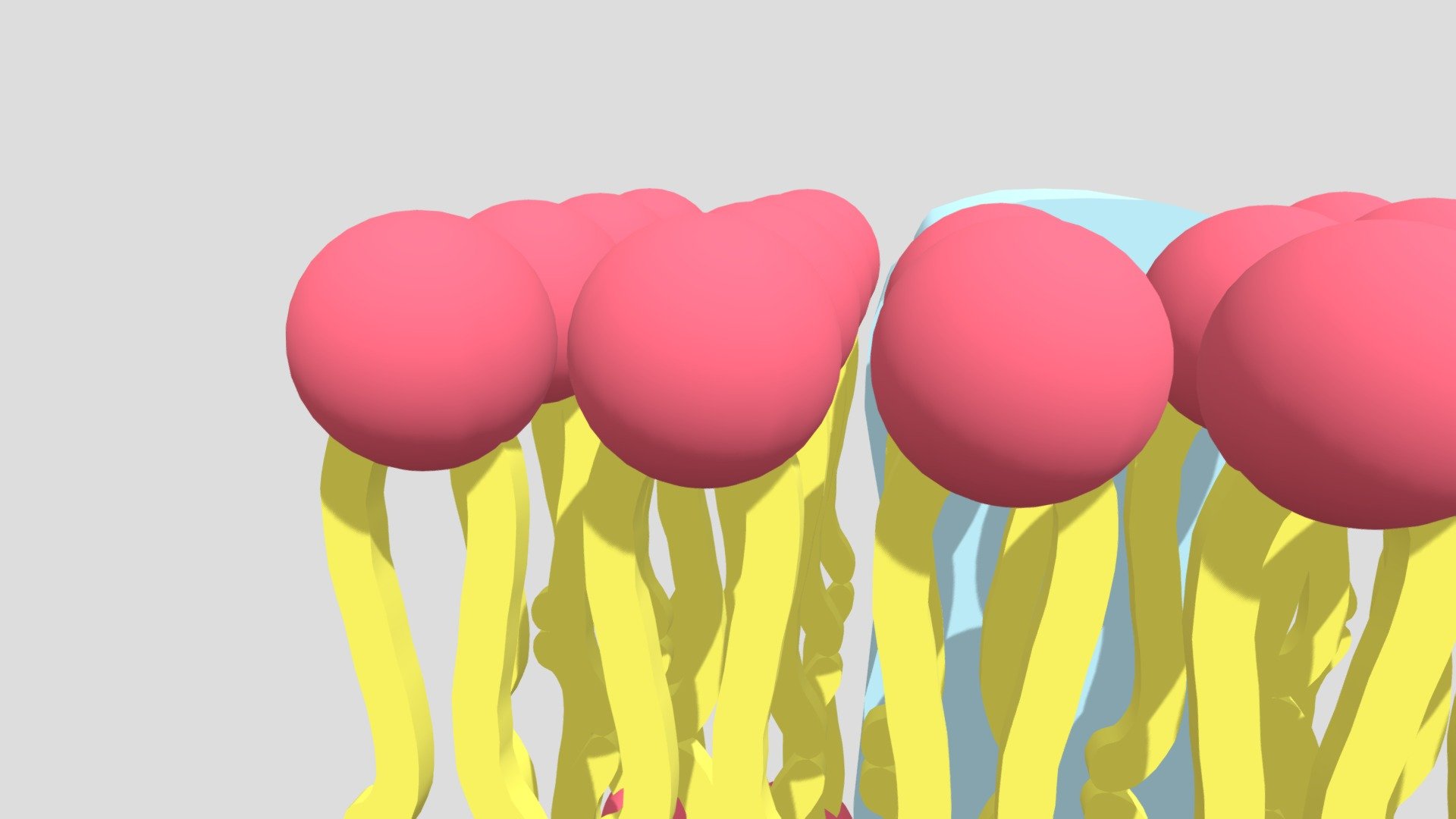 cell-membrane-definition-structure-functions-with-diagram