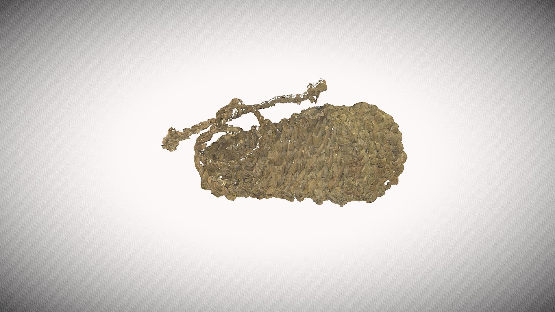 basketry- child's shoe (laser scanned)