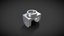 Loading 3D Model
