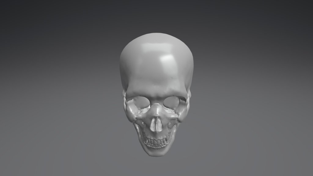 Skull