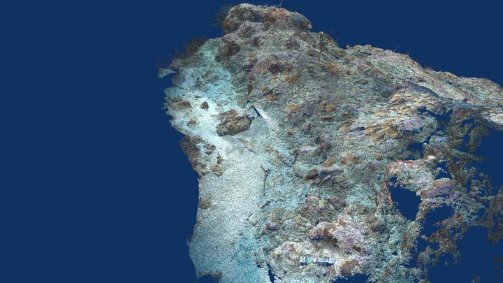 Curacao - Director's Bay 60m - Feb 2020 3D Model