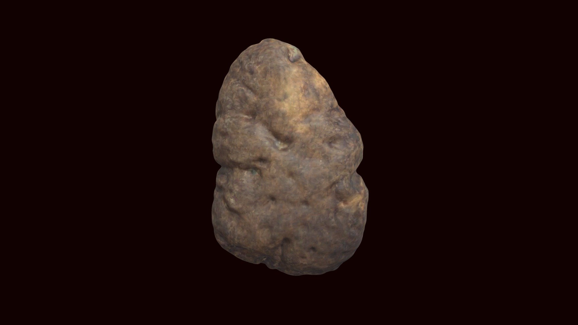 Paramylodon osteoderm (VCU_3D_8386) - Download Free 3D model by Virtual ...