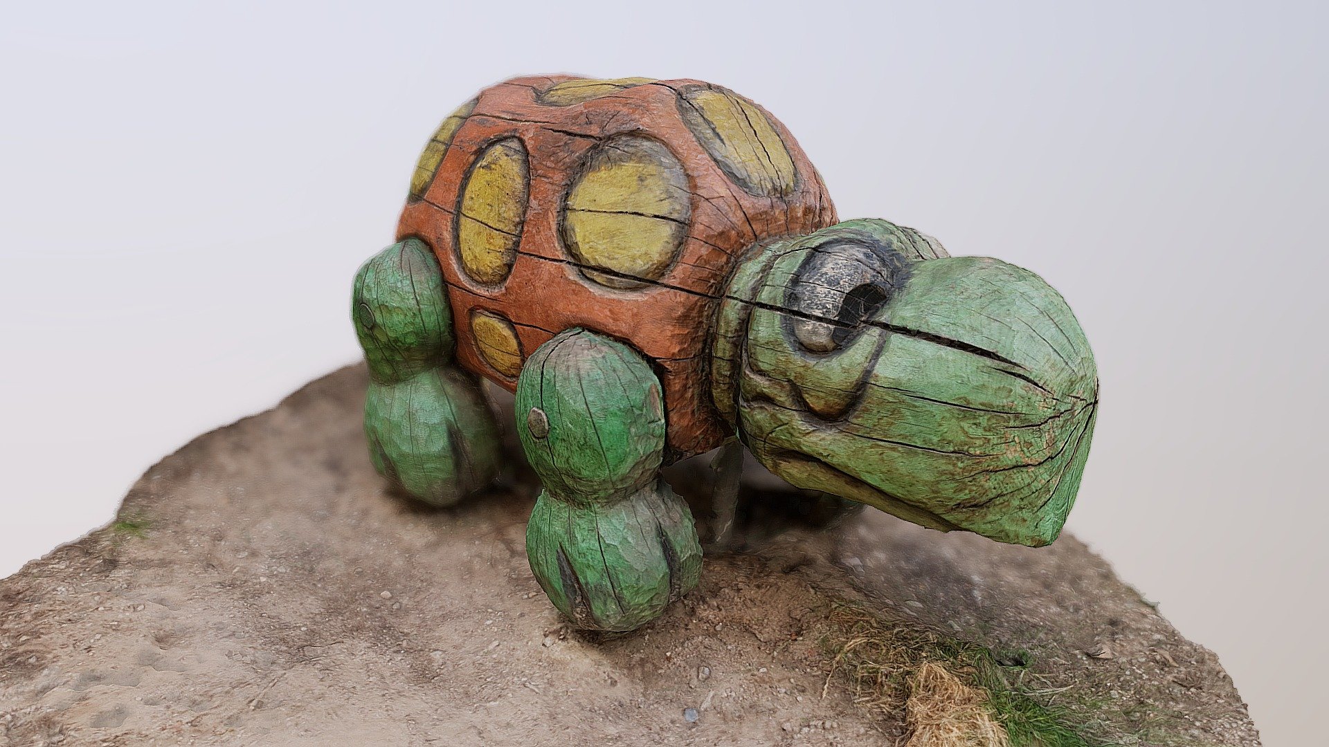 Wooden Turtle