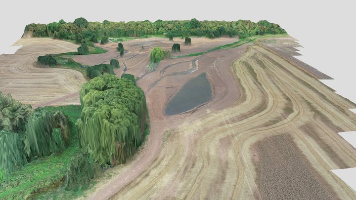 Rivers confluence restoration 3D Model