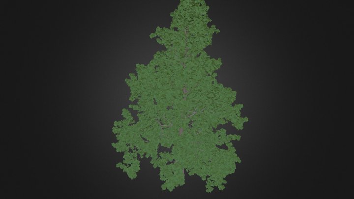 Sketchfab_2014_01_29_01_30_27 3D Model