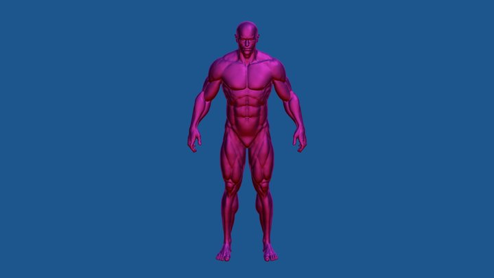 Male Reference for a Friend 3D Model